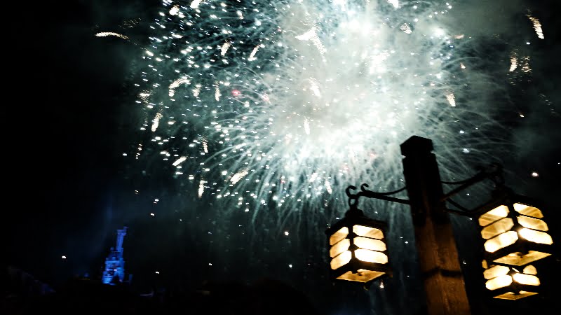 Study Identifies What Delights and Outrages Theme Park Visitors