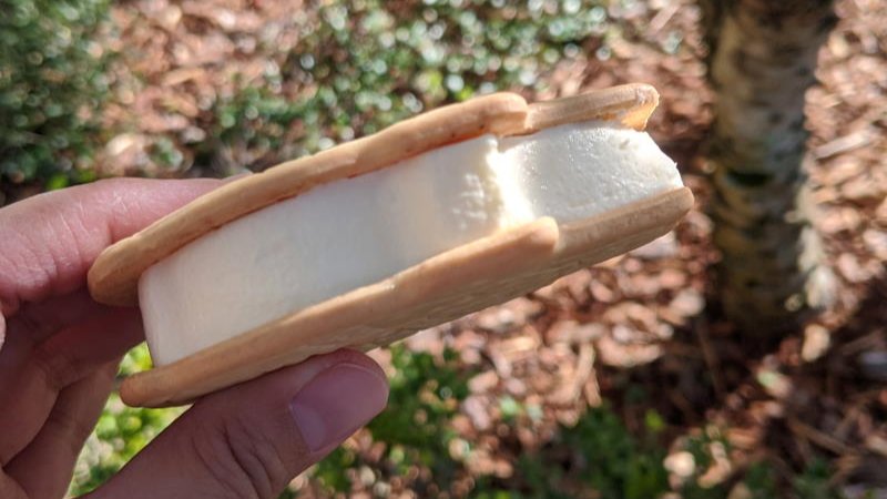 Disney Millenium Falcon Ice Cream Sandwich